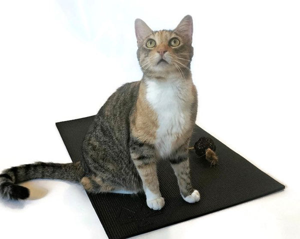 tri-color cat on black yoga cat mat