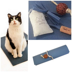 black and white cat on blue yoga cat mat with cat toys