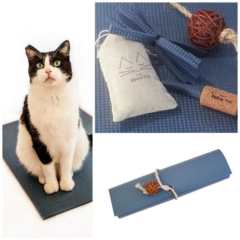 Yoga Cat Mat Gift Sets