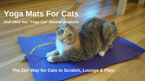 cat on mini yoga mat