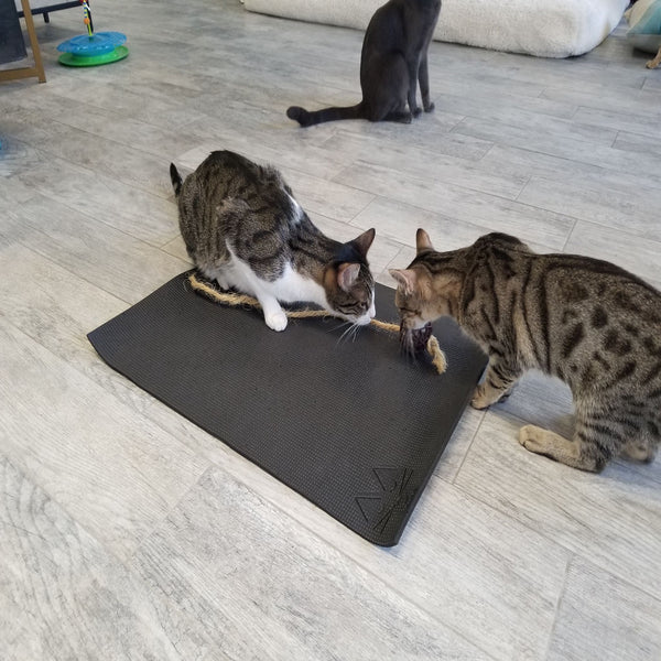 Feline Yogi Yoga Cat Mat-Black