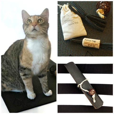 kitty on black yoga  mat and cat toys