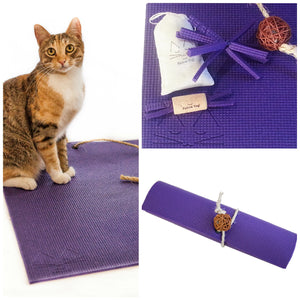 cat on purple yoga cat mat and cat toys