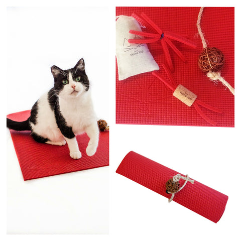 cat on red yoga cat mat and cat toys