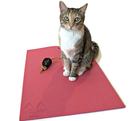 calico cat on pink yoga cat mat