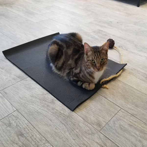 Feline Yogi Yoga Cat Mat-Black